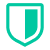 Regulated Financial Institution